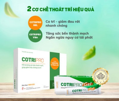 Viên Uống COTRIPRO - Hỗ Trợ Tăng Sức Bền Thành Mạch, Giúp Giảm Triệu Chứng Của Trĩ